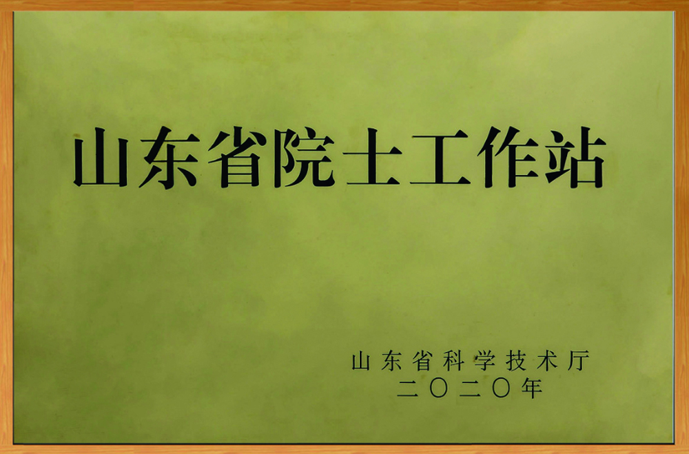 山东省院士工作站