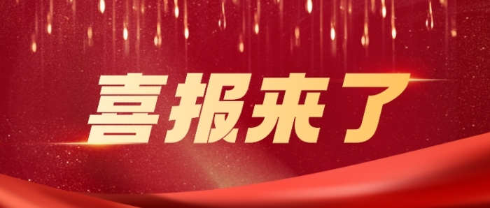 喜报 | 山东泓江成功入选 2024 年第一批山东省 DCMM 贯标试点单位！